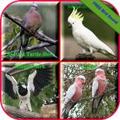 Birds Sound Animal 1.0