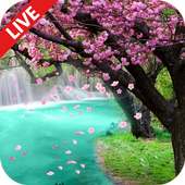 Sakura Live Wallpaper icon