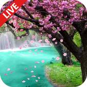 Sakura Live Wallpaper 1.1
