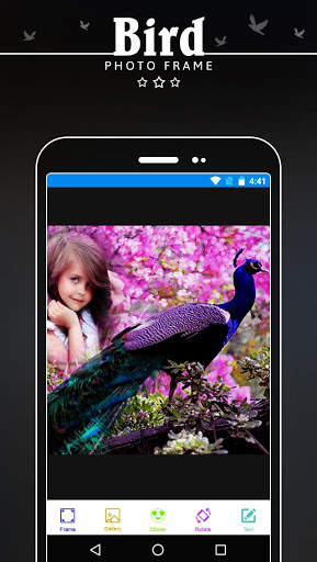 Bird Photo Frame-Bird Photo Editor 2018 screenshot 1
