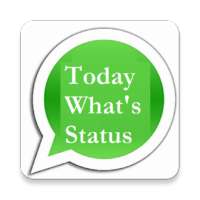 Daily Status