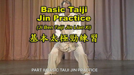 Tai Chi Pushing Hands screenshot 8