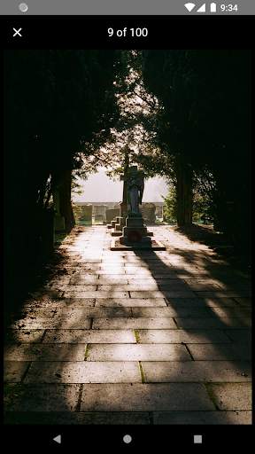 Film Photo - Vintage Film - Analog Film screenshot 7