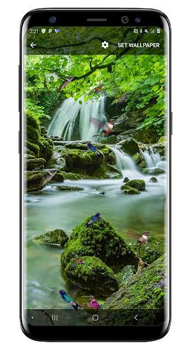 Birds Flying Live Wallpaper screenshot 5