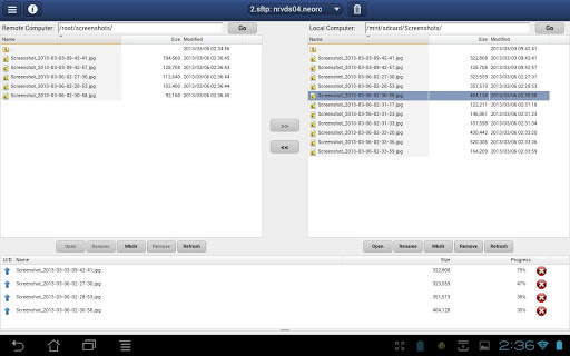 NeoRouter Remote Access скриншот 4