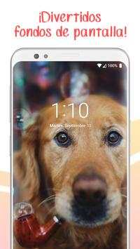 Funny Wallpapers screenshot 1