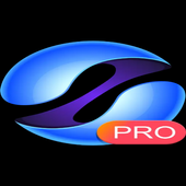 Nexon  browser icon