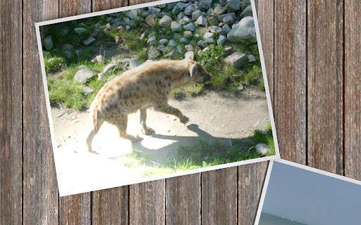 Slideshow 500 FREE screenshot 7