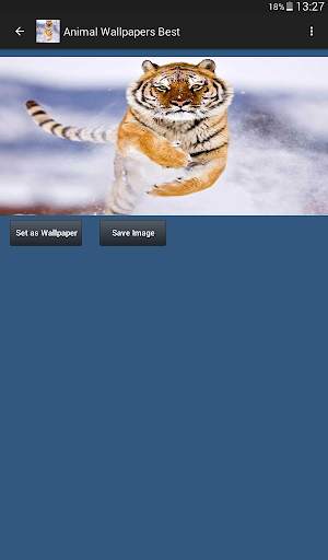 Animal Wallpapers App 🐈🐅🐎 : Animal Background screenshot 10
