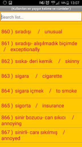 Turkish English Translation screenshot 4