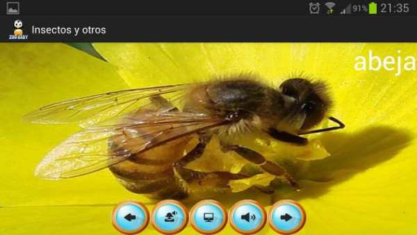 Zoo Baby - English Edition screenshot 5