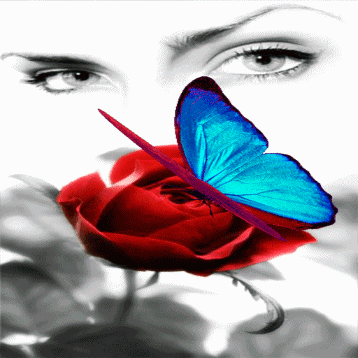 Butterfly Eyes Live Wallpaper icon