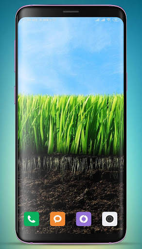Plants Wallpaper HD screenshot 15