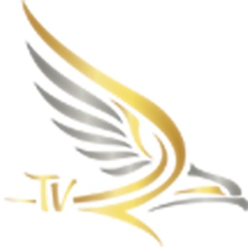Falcon Player icon