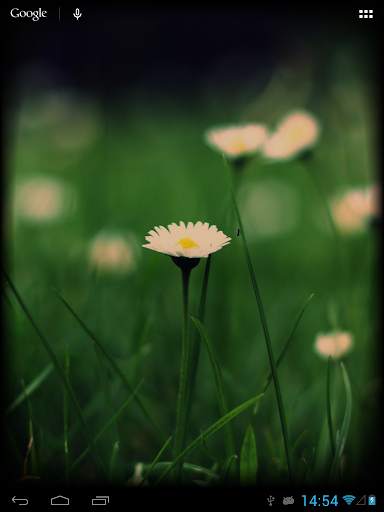 Old TV Live Wallpaper 5 تصوير الشاشة