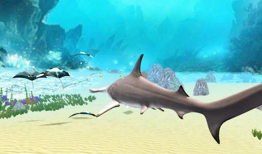 The Hammerhead Shark screenshot 11