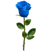 Roses Stickers icon