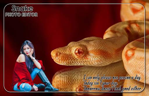 Snake Photo Editor screenshot 3