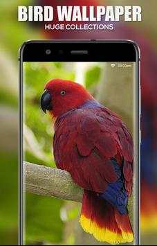 Bird Wallpaper screenshot 2