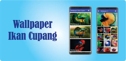 Wallpaper Ikan Cupang New screenshot 1