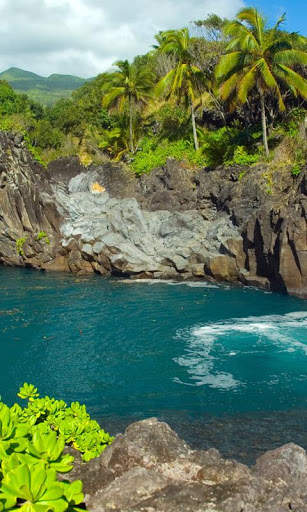 Nature Live Wallpaper : 7fon & LWP screenshot 3
