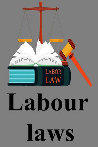 Labour laws - Offline screenshot 4