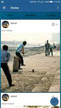 Let's Play Cricket screenshot 8
