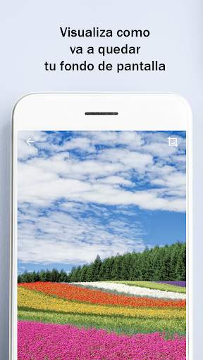 Fonds d'écran HD4K pour Whatsapp screenshot 7