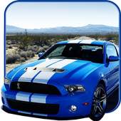 Car Racing Challenge 2016 1.0