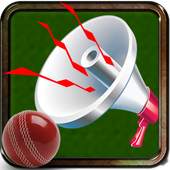 Cricket Stadium Horn 1.0
