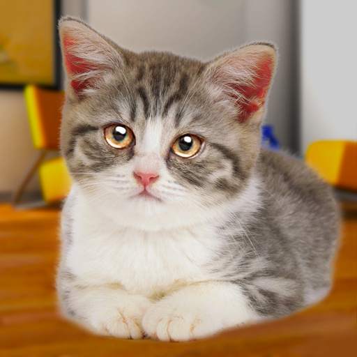 Talking Cat Funny 1.96