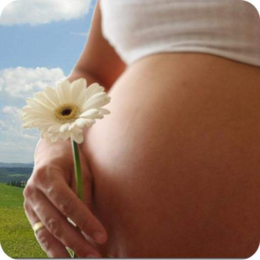 Pregnancy Calendar 2.6.1