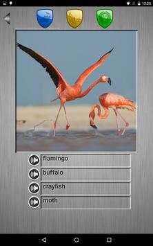 Fauna screenshot 6