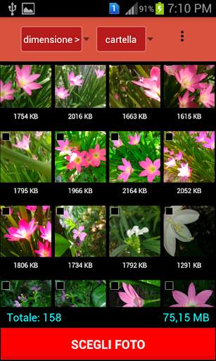 QReduce: Photo Reducer screenshot 1