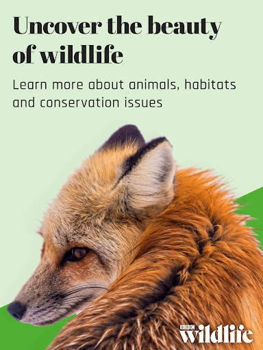BBC Wildlife Magazine screenshot 9