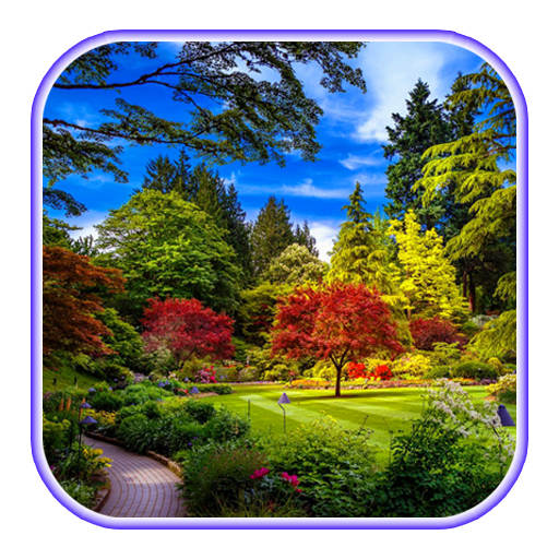 Nature Wallpaper 6.1