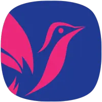 Koyal Songs, Download & Play