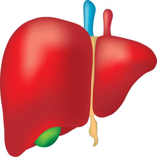 Hepatitis B Interactive 1.0(2)