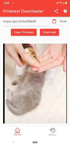 Video Pinterest Downloader: Video Downloader Fast screenshot 3
