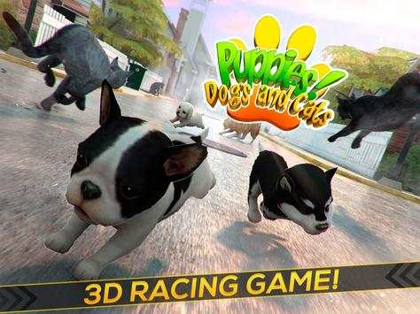 Puppies! Dogs and Cats Game screenshot 4