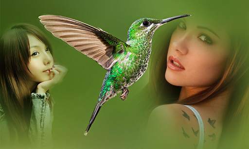 Birds Mulit Photo Frame screenshot 3