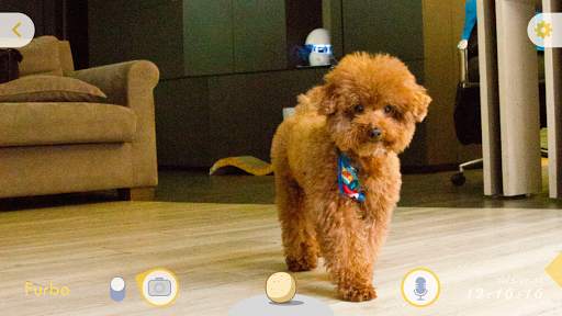 Furbo-Treat Tossing Dog Camera screenshot 3