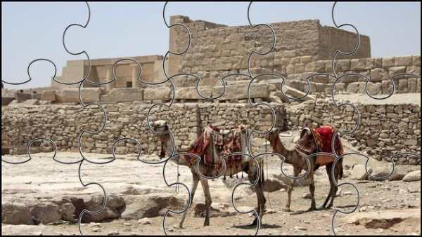 Camel Jigsaw Puzzles Game screenshot 6