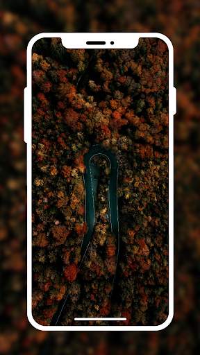 HD Wallpaper & 4k Wallpaper screenshot 14
