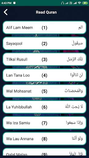 Al Quran - Read/Listen Offline screenshot 2