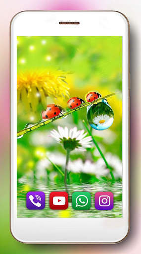 Spring Fantasy Live Wallpaper screenshot 1