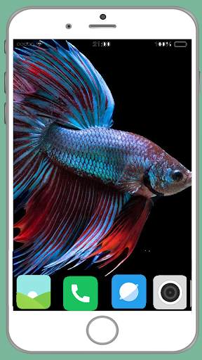 Fish Full HD Wallpaper 7 تصوير الشاشة