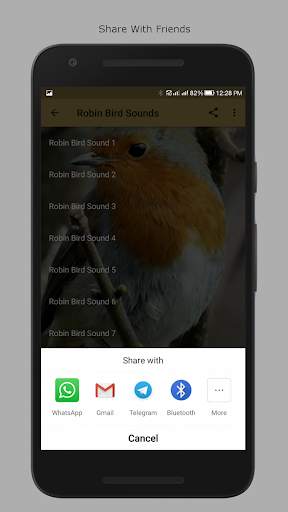 Robin Bird Sounds screenshot 5