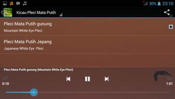 Pleci Birdsong ( All Varian ) screenshot 4