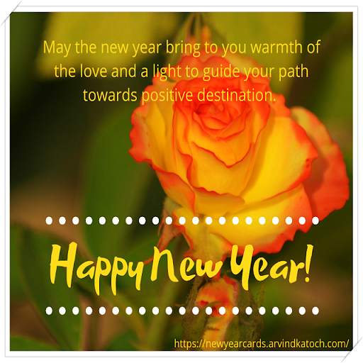 True Pic New Year Cards (2020) 1.6